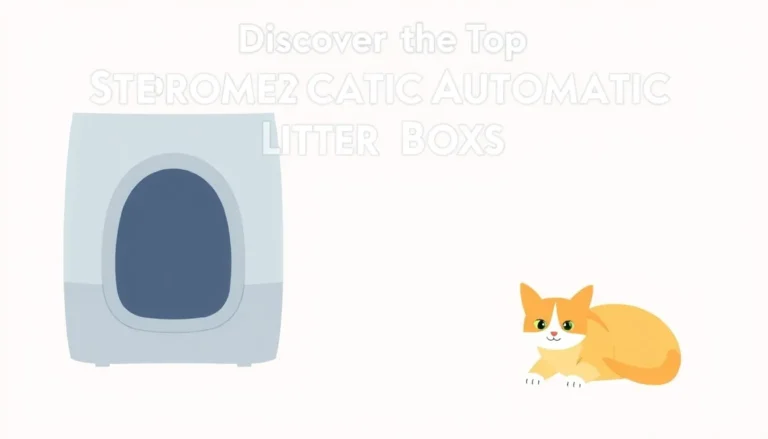 DISCOVER THE TOP AUTOMATIC LITTER BOXES FOR HAPPY CATS